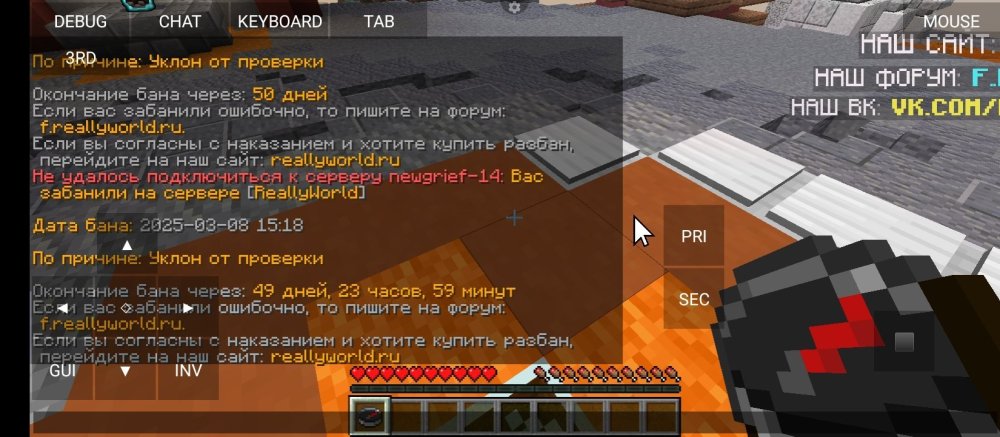 Screenshot_2025-03-08-15-34-34-253_net.kdt.pojavlaunch.jpg