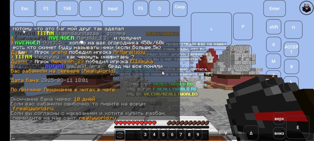 Screenshot_2025-03-12-00-02-15-892_com.tungsten_fcl.thumb.jpg.f08282f3c0a8e8eb934c9e8866602317.jpg