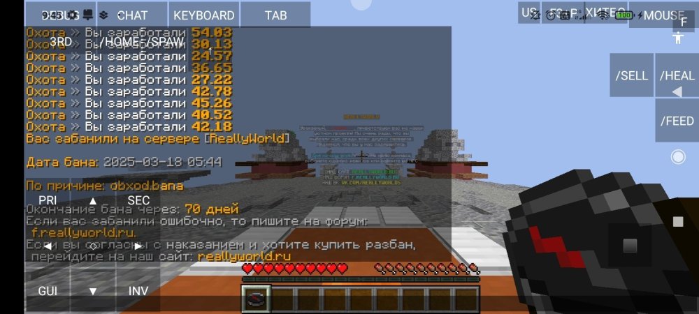 Screenshot_2025-03-18-09-45-59-968_net.kdt.pojavlaunch.jpg
