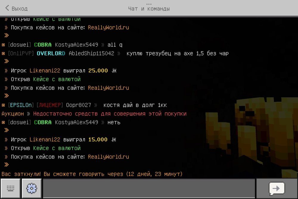 Screenshot_2025-03-25-20-23-43-237_com.mojang.minecraftpe.jpg