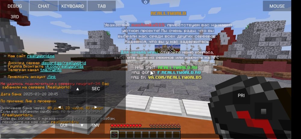 Screenshot_2025-03-28-22-03-09-829_net.kdt.pojavlaunch.jpg
