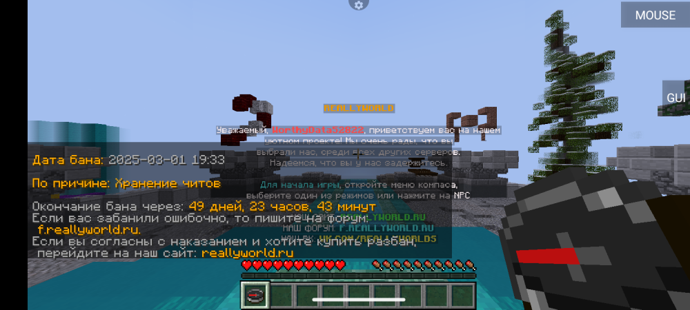 Screenshot_20250301-174959.thumb.png.7914c914b96f87cf986e4462a6c5d7fb.png