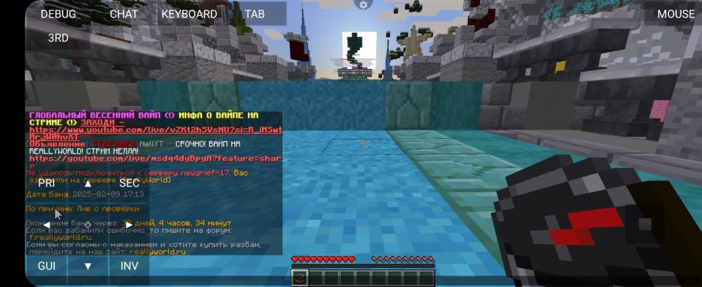 Screenshot_20250301_133941_PojavLauncher (Minecraft Java Edition for Android).jpg