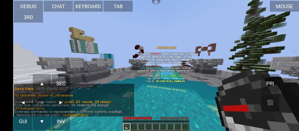 Screenshot_20250302-235352.jpg