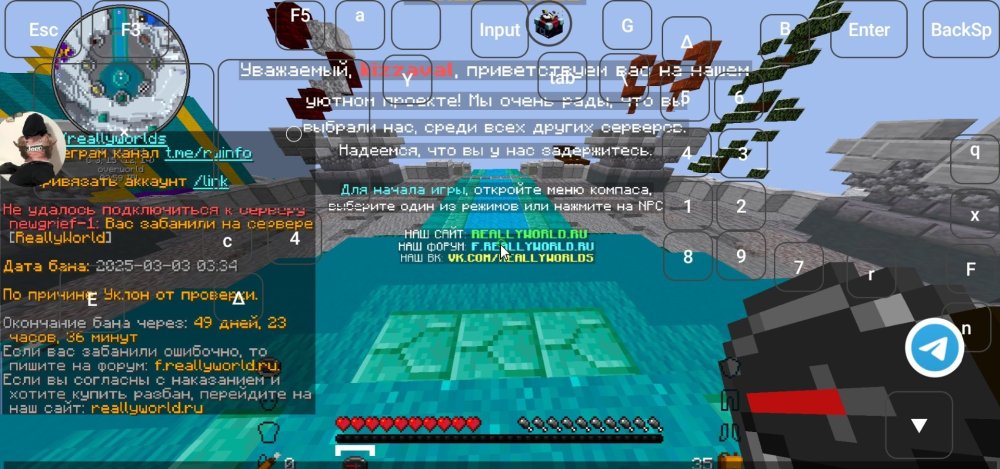Screenshot_20250303-035941_FoldCraftLauncher.thumb.jpg.88950cbc5de1f383b90ecdd9fdc15a84.jpg