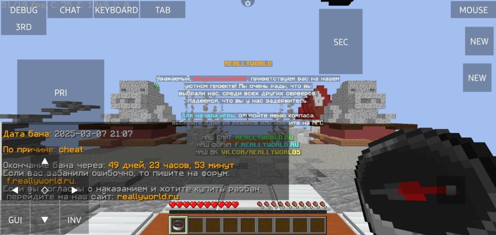 Screenshot_20250307_211426_PojavLauncher (Minecraft Java Edition for Android).jpg