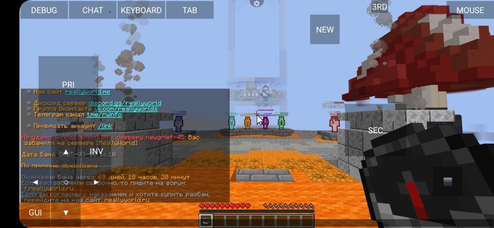 Screenshot_20250308_235105_PojavLauncher(MinecraftJavaEditionforAndroid).thumb.jpg.4c71aa23823fc950df9210b6e8c9ecbf.jpg