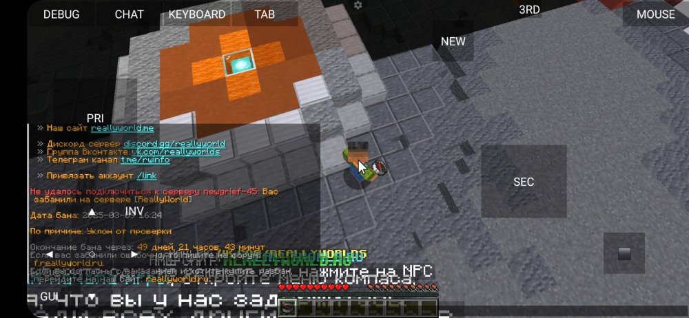 Screenshot_20250309_204208_PojavLauncher(MinecraftJavaEditionforAndroid).thumb.jpg.040ec673766924cad5c64735b1974fdf.jpg