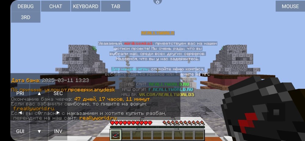 Screenshot_20250313_201147_PojavLauncher (Minecraft Java Edition for Android).jpg