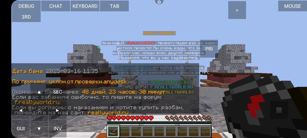 Screenshot_20250317_160501_PojavLauncher (Minecraft Java Edition for Android).jpg