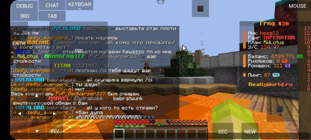 Screenshot_20250318_095759_PojavLauncher (Minecraft Java Edition for Android).jpg