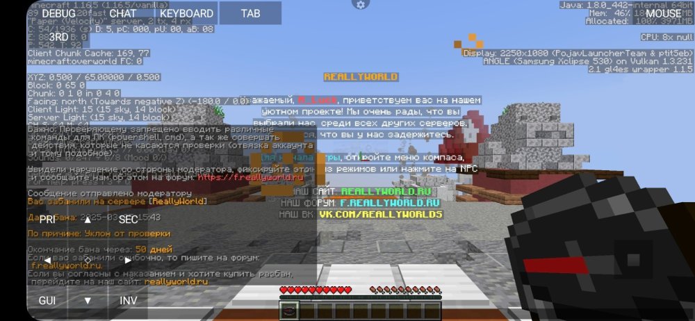 Screenshot_20250325_164400_PojavLauncher (Minecraft Java Edition for Android).jpg