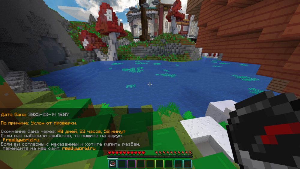 catlavan Screenshot 2025.03.14 - 15.08.43.12.png