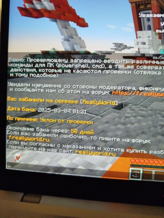 image.thumb.jpeg.dbdcff42035bc2bb504128dfb9c34689.jpeg