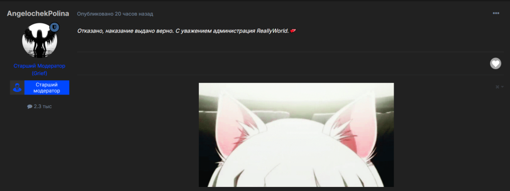 image.thumb.png.4dd88ef007f3c51fd14d69d0175a7093.png