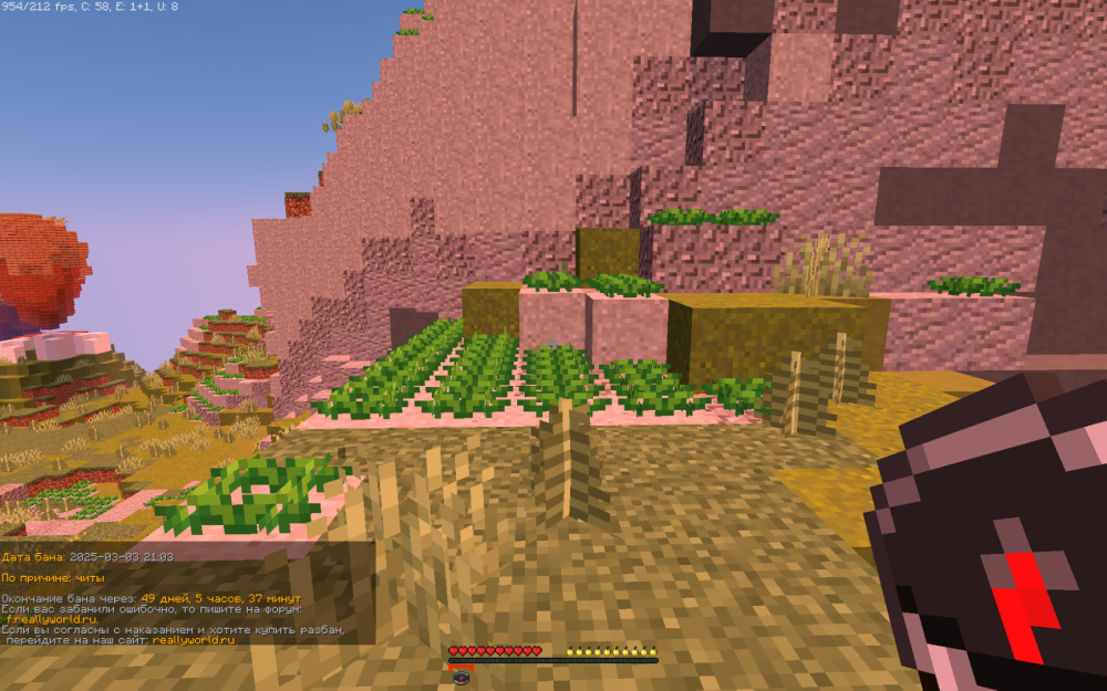 image.thumb.png.7f8f478076effaef9b7b40f889beae40.png