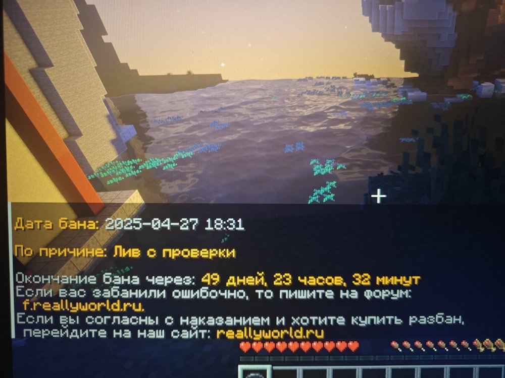 1745769525580916190754716467137.jpg