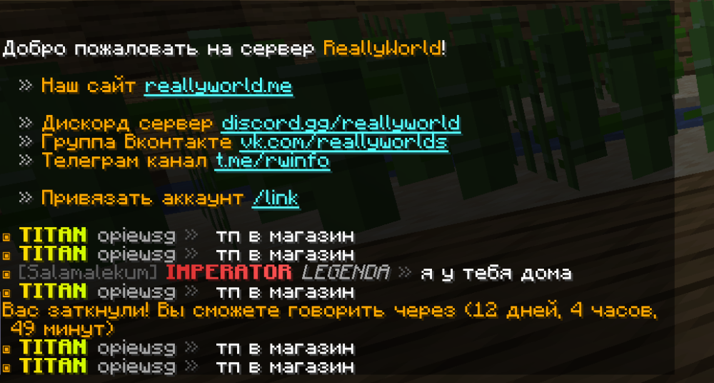 Снимок экрана 2025-04-21 103646.png