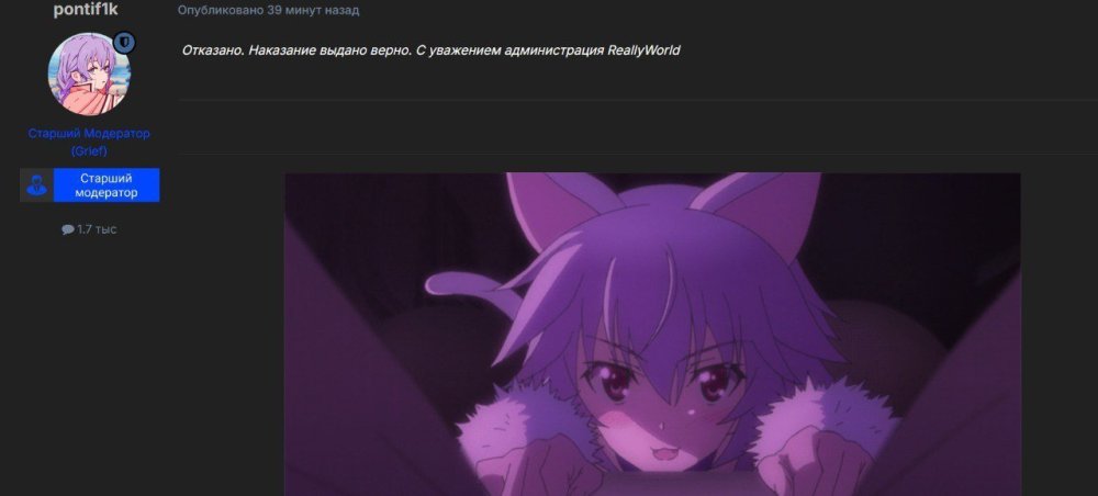 5465525968300011435.jpg