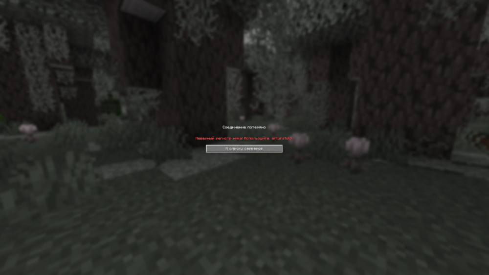 MinecraftScreenshot2025_04.23-19_19_02_15.thumb.png.2bba5b2a7dd6f98fc87468f93f9fae33.png