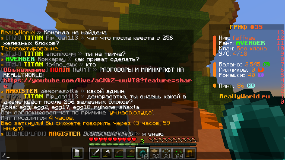 Minecraft_ 1.16.5 - Сетевая игра (сторонний сервер) 18.04.2025 14_26_12.png