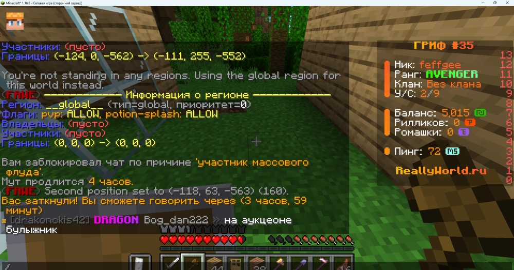 Minecraft_ 1.16.5 11.04.2025 16_15_57.png