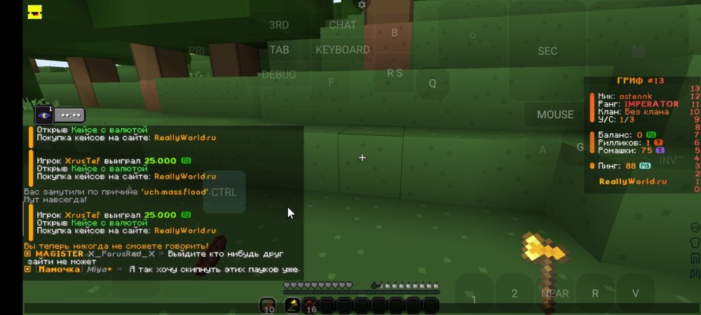Screenshot_2025-04-05-14-02-26-894_net.kdt.pojavlaunch.debug.jpg