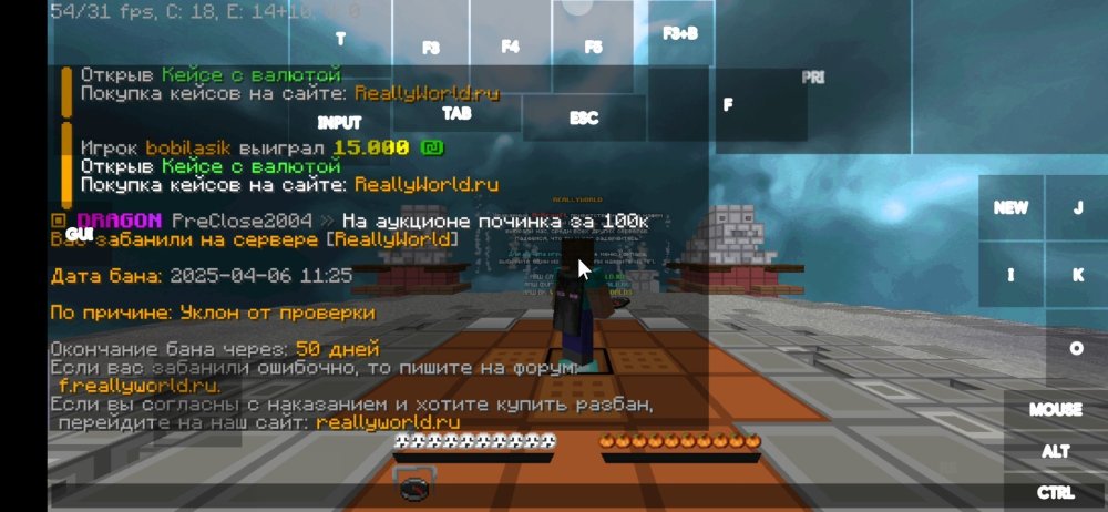Screenshot_2025-04-06-13-26-42-645_net.kdt.pojavlaunch.jpg