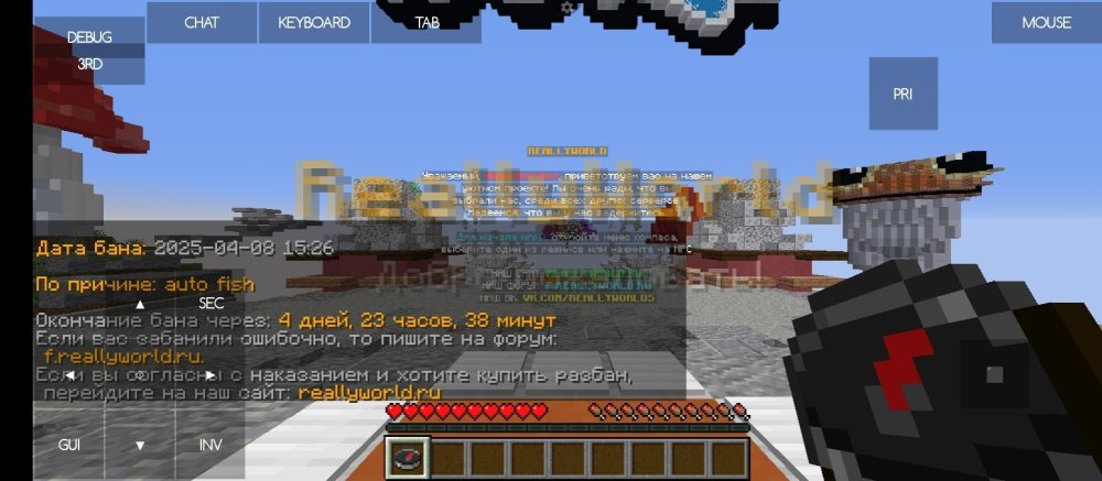 Screenshot_2025-04-08-19-48-34-111_net.kdt.pojavlaunch.jpg