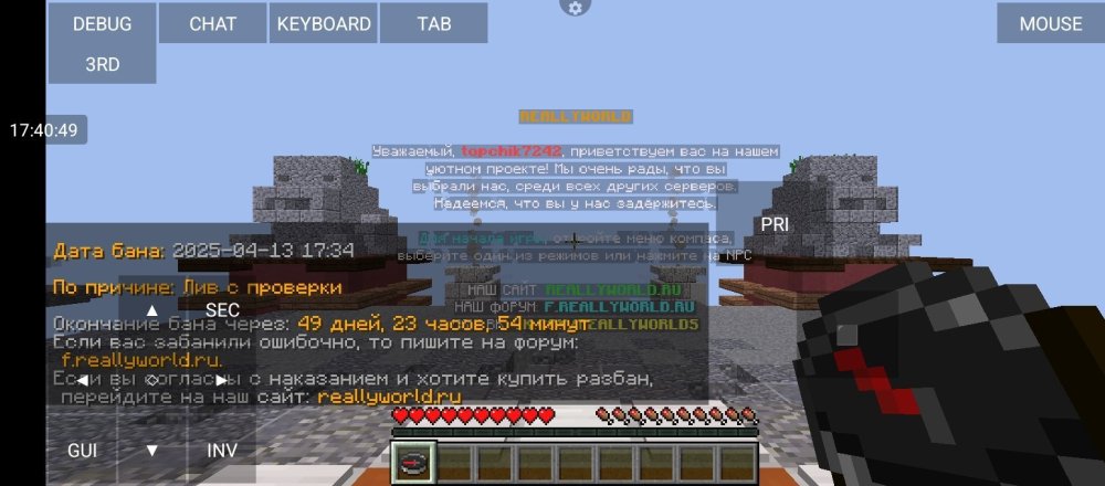 Screenshot_2025-04-13-17-40-50-348_net_kdt.pojavlaunch.thumb.jpg.ab2625d7f0abb081edaed440777f1de5.jpg
