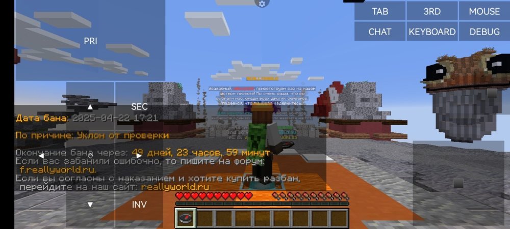 Screenshot_20250422_172209_net.kdt.pojavlaunch.jpg