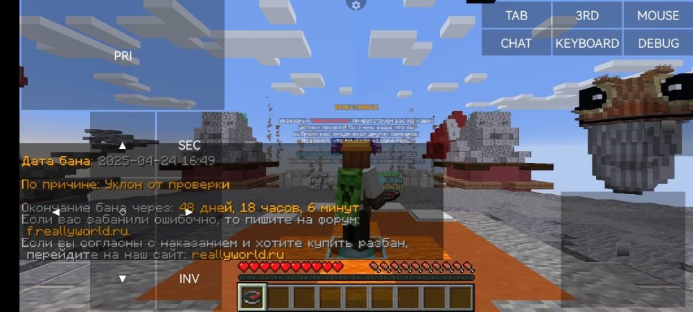 Screenshot_20250425_224320_net.kdt.pojavlaunch.jpg