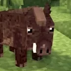 Rannfarl
