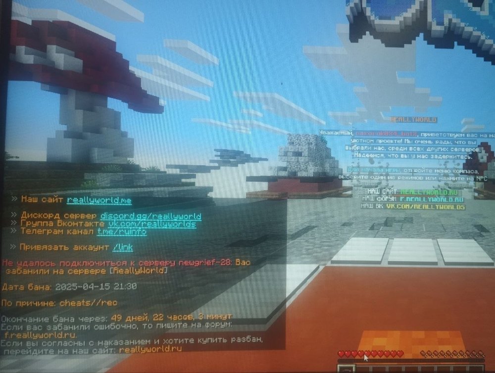 image.thumb.jpeg.b97b12d9f7235edff95ddf0dedd8bb0c.jpeg