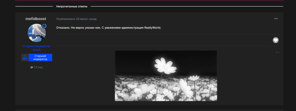 image.thumb.png.4e3c1479ad6b144c6ce31a1a0acdd591.png