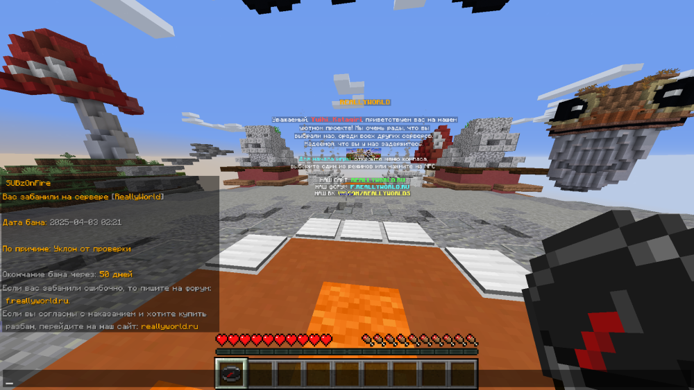 image.thumb.png.882cd8c4cc10e7d77b5a969eedac0872.png