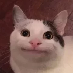 Welllikesgaming