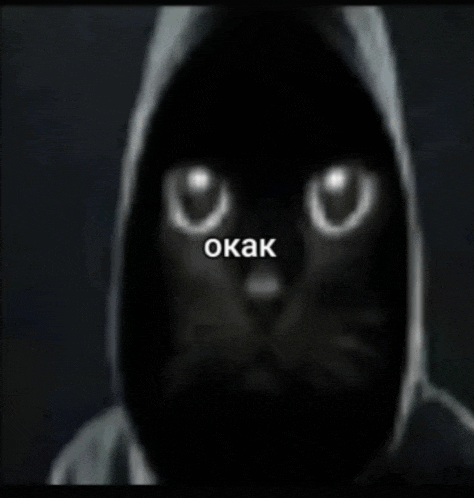 -.gif.01031e1e155216fe441829e2d0850674.gif