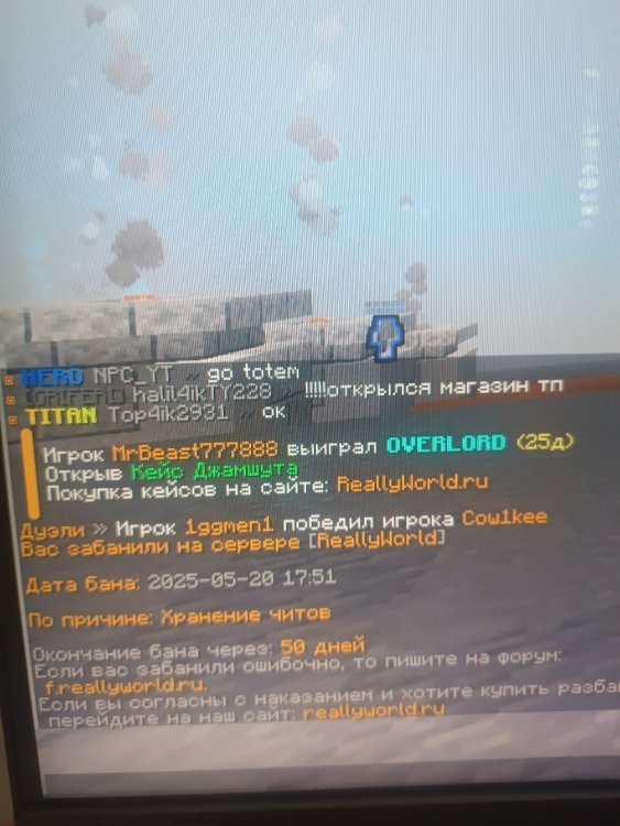 17477531310935355796975103855539.jpg
