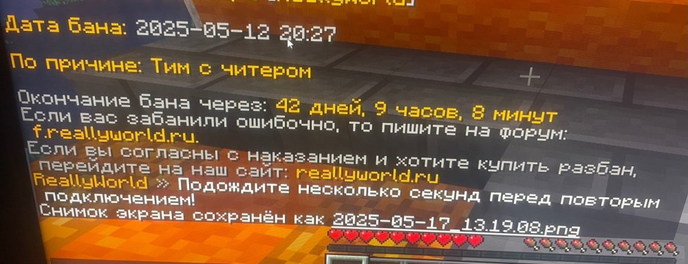 IMG_0113.jpeg