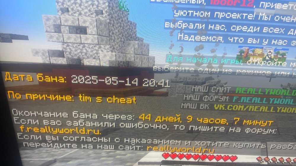 IMG_0114.thumb.jpeg.0b82532e174520213442c91a63fb2ba6.jpeg