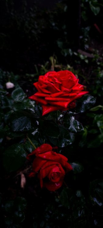 IMG_20250527_190255.jpg