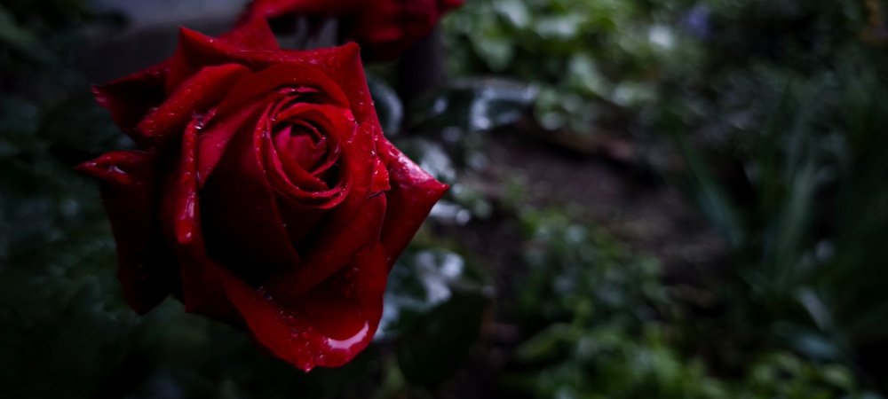 IMG_20250527_190307.jpg