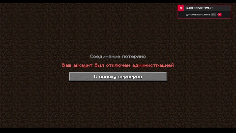 IMG_4342.jpeg
