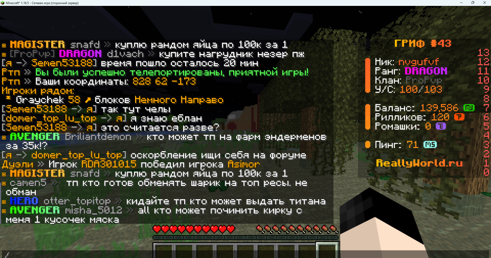 Minecraft_ 1.16.5 - Сетевая игра (сторонний сервер) 07.05.2025 15_52_34.png