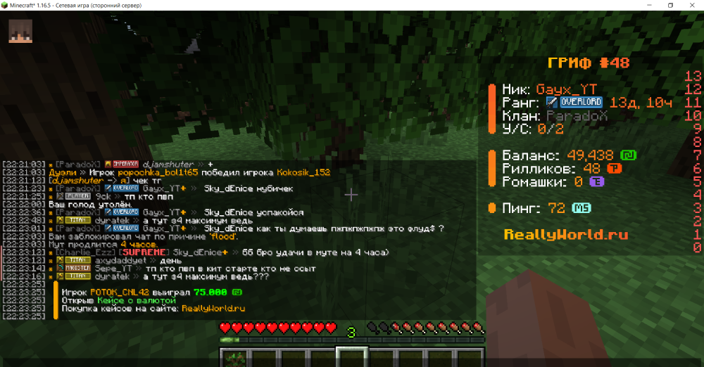 Minecraft_ 1.16.5 - Сетевая игра (сторонний сервер) 31.05.2025 22_25_22.png