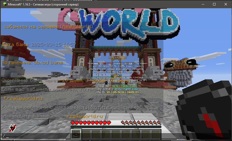 _2025-05-08_144728927.png.ec2bd99ff695889cd692be1ff9e93a03.png