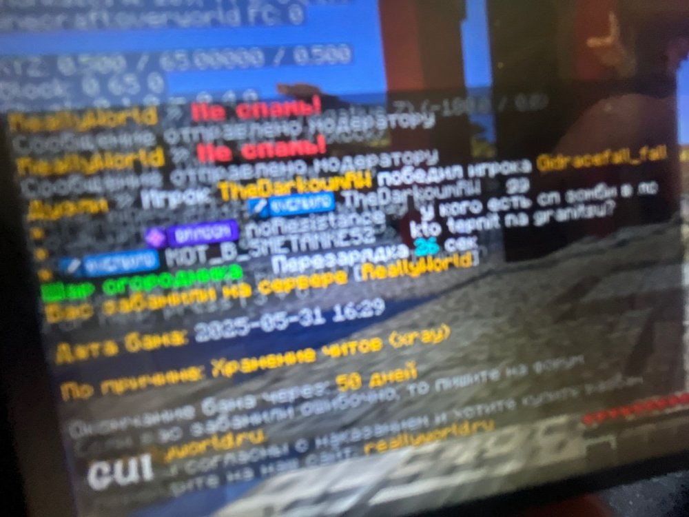 camphoto_1804928587.jpeg