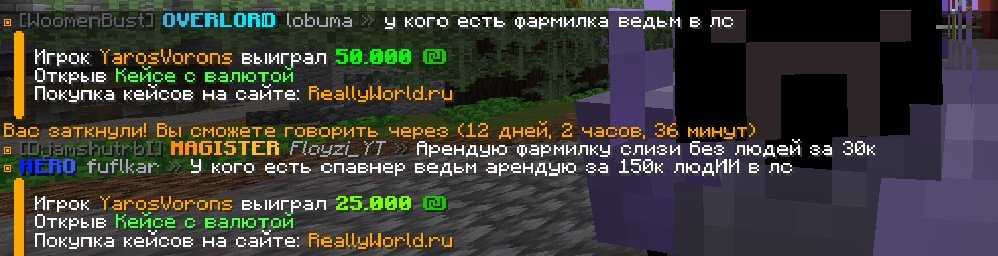 image.jpeg.dcae5ff10b165cdfd178adc99ee66353.jpeg