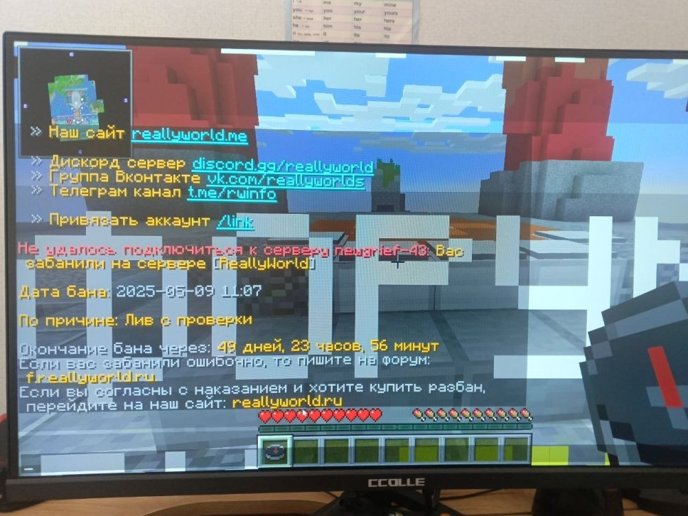 image.thumb.jpeg.b46292cae48dd4c463f1ec33ddcc241a.jpeg